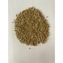 Matador Ispanak Tohumu - Spinacia oleracea L.